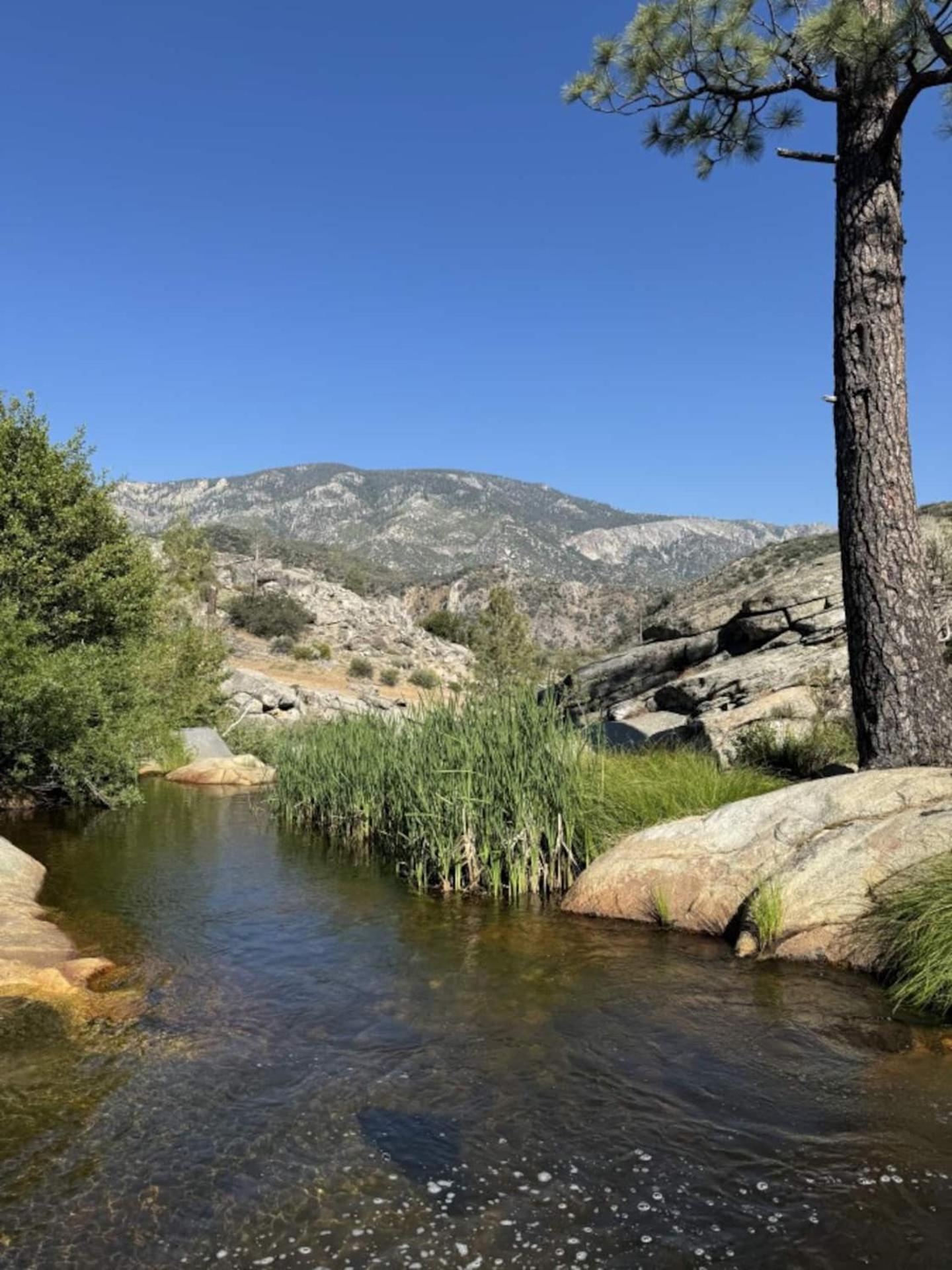 Ponderosa Peppermint Falls Ranch מראה חיצוני תמונה